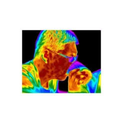 HIKVISION DS-2TP31-03AUF Thermal Handgerät Zur Messung Der Körpertemperatur -Überwachungskamera-Hikvision 1352 1 2